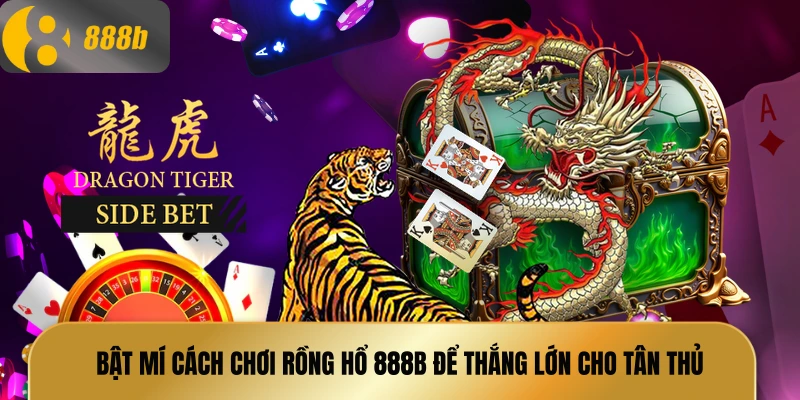 cách chơi rồng hổ