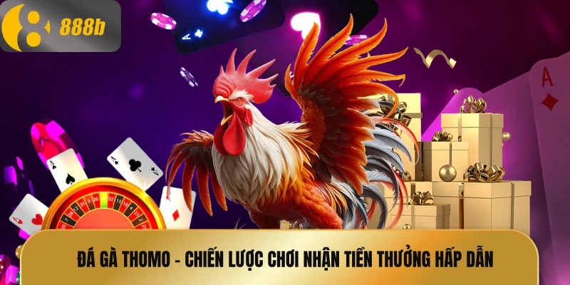 Đá gà thomo