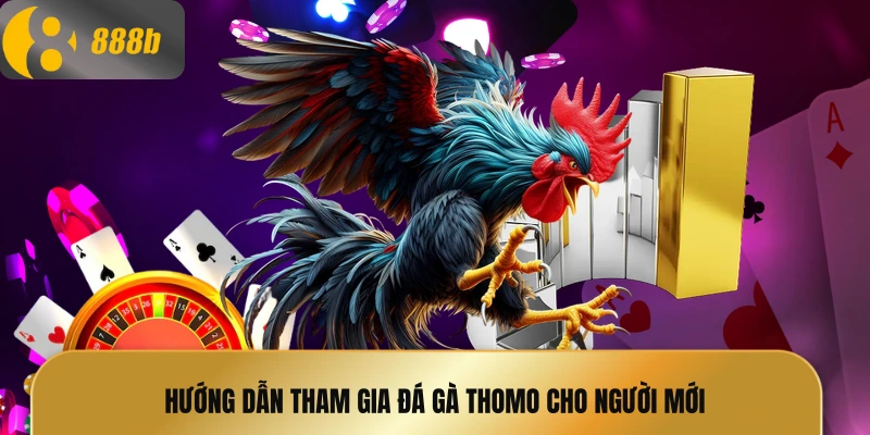 Hướng dẫn tham gia đá gà thomo cho người mới
