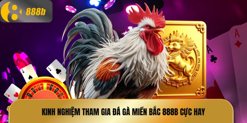 Kinh nghiệm tham gia đá gà miền Bắc 888B cực hay