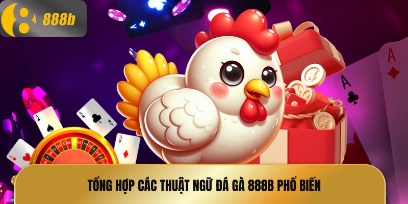 Tổng hợp các thuật ngữ đá gà 888B phổ biến