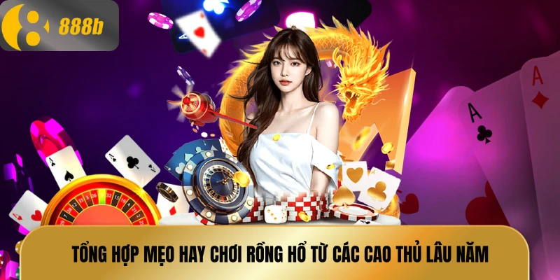 Tổng hợp mẹo hay chơi rồng hổ từ các cao thủ lâu năm